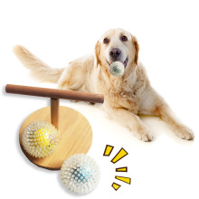 Jouets de balle à pointes activées par la voix grinçante jouant à la balle de dentition Jouets à lancer et à récupérer pour les jouets de petite taille et de taille moyenne pour chat et chien 2021
